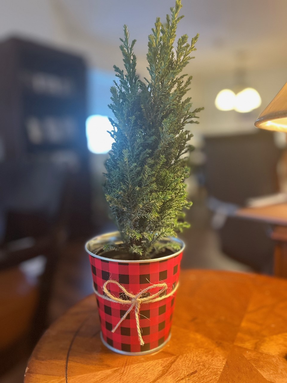 Dear Reader, we killed&nbsp;it.