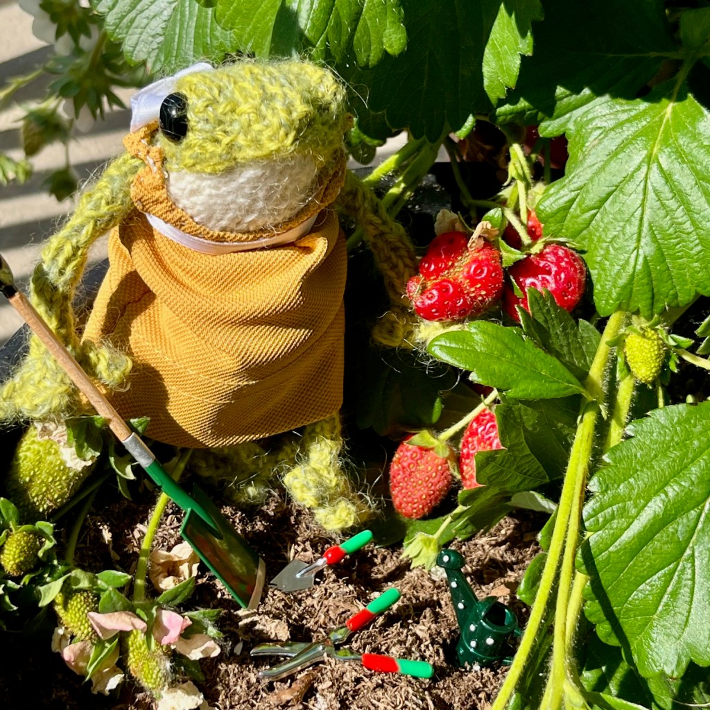 What kind of frog does he think she is?