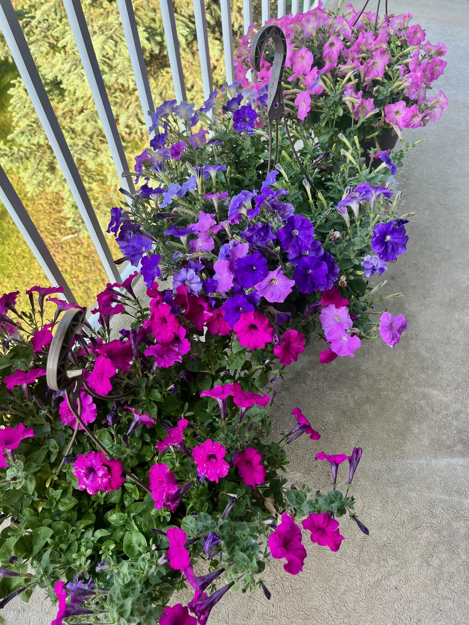 Embracing Goodness: Finding Beauty in the Simple Things